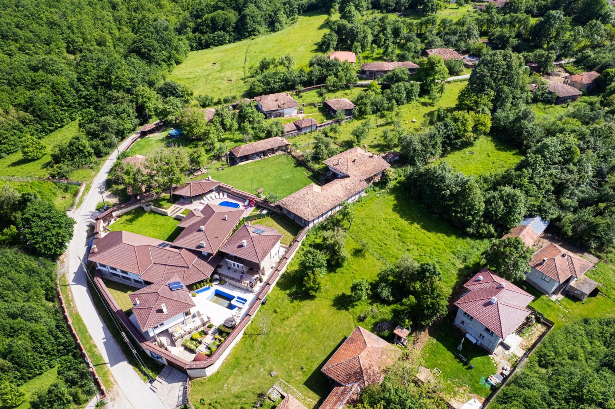 Вили Алекс Elena Ruang foto